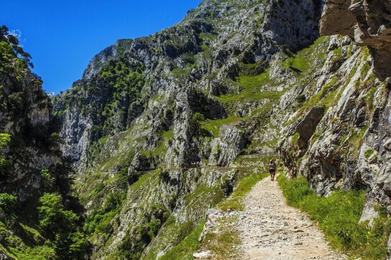 El Mirador De Meron San Vicente De La Barquera Εξωτερικό φωτογραφία