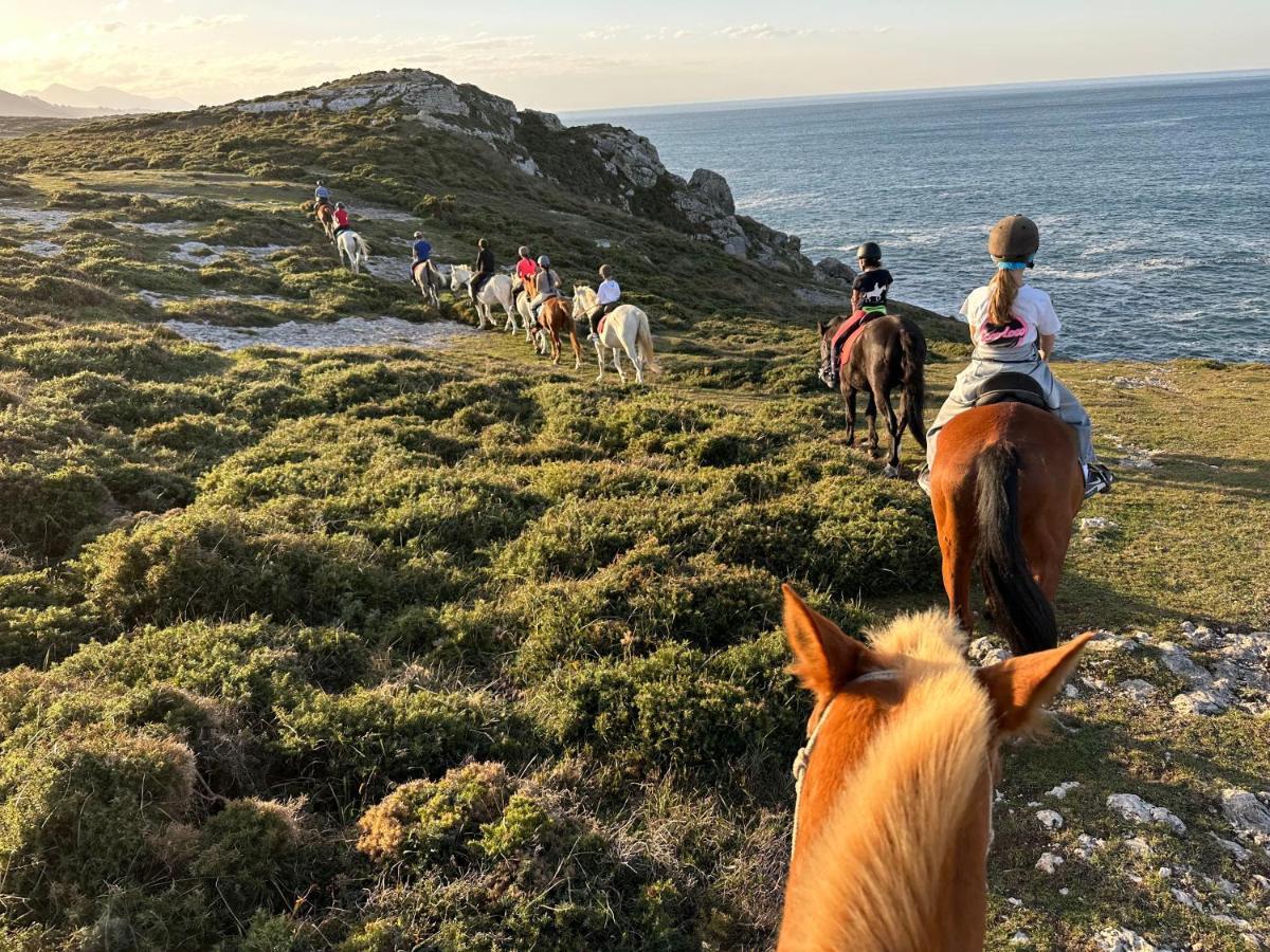 El Mirador De Meron San Vicente De La Barquera Εξωτερικό φωτογραφία